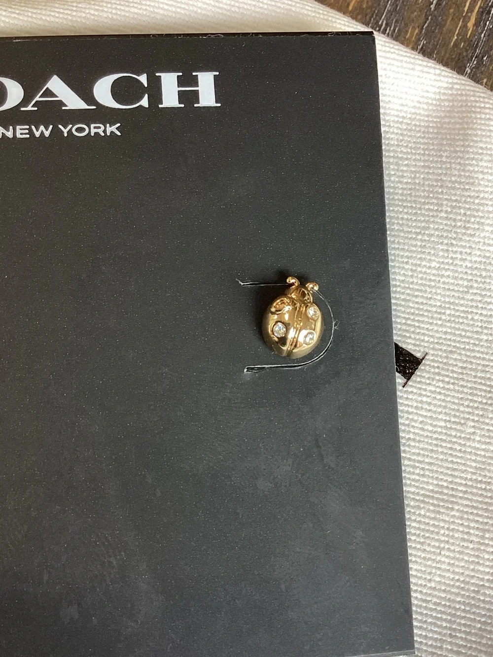 Coach ladybug mini